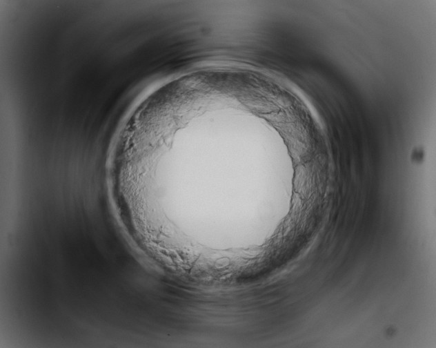 X0000103901195200810311402