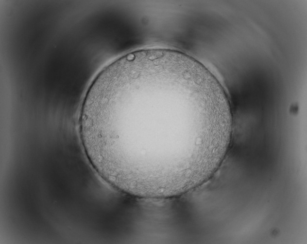 X0000103901197200810311402