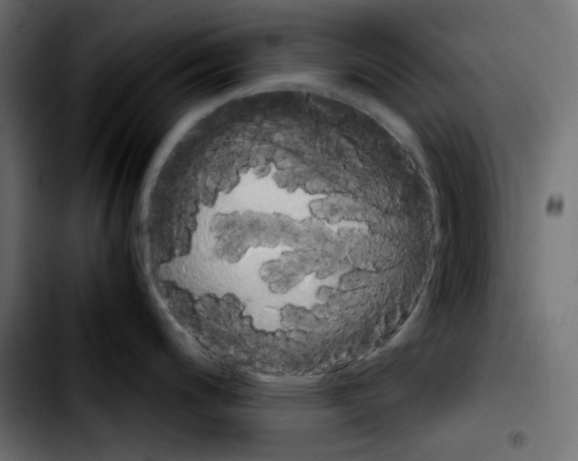 X0000103901200200810311402