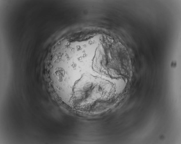 X0000103901201200810311402