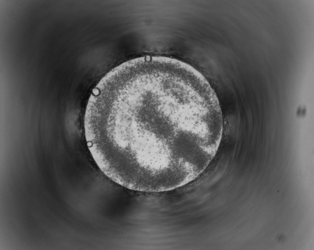 X0000103901202200810311402