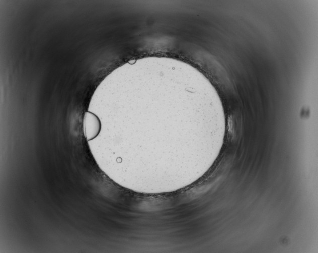 X0000103901203200810311402