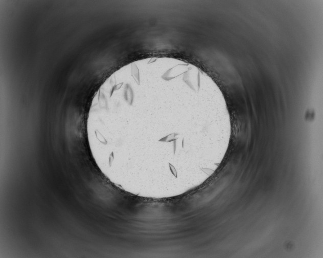 X0000103901204200810311402