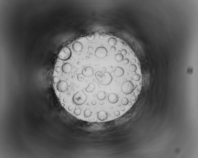 X0000103901205200810311402