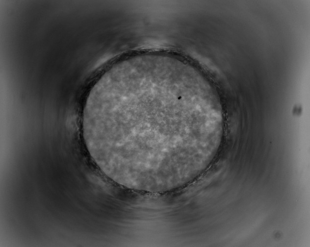 X0000103901206200810311402