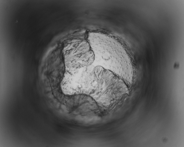 X0000103901207200810311402