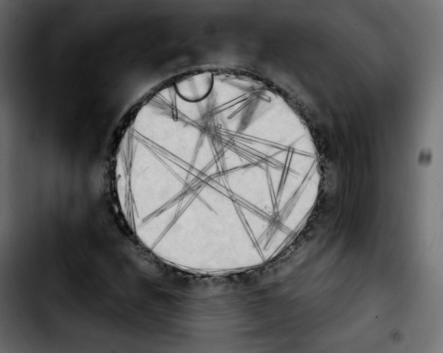 X0000103901208200810311402