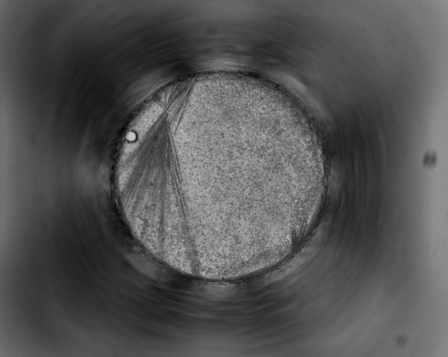 X0000103901209200810311402