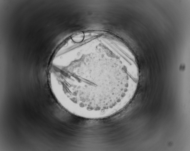 X0000103901212200810311402