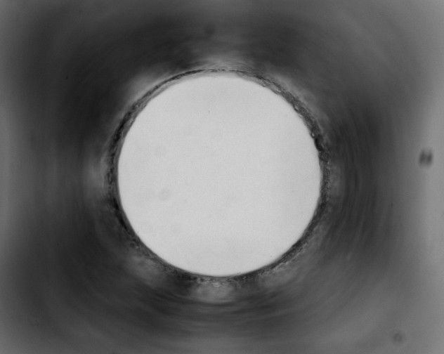 X0000103901215200810311402