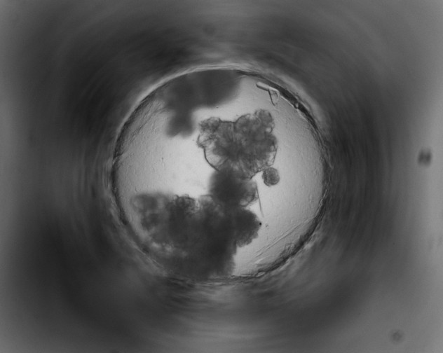 X0000103901220200810311402