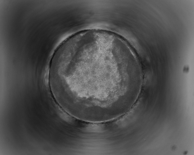 X0000103901224200810311402