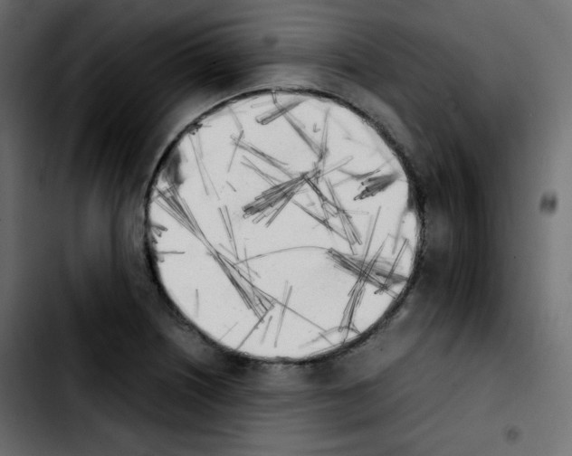 X0000103901226200810311402