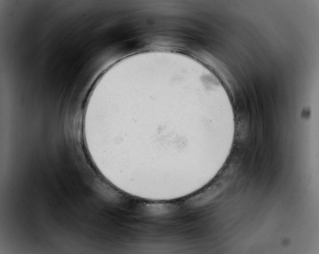 X0000103901227200810311402