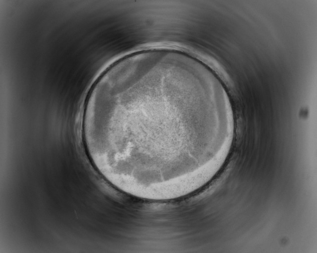 X0000103901228200810311402