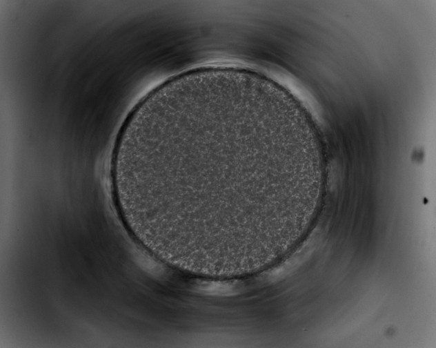 X0000103901229200810311402