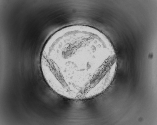 X0000103901230200810311402