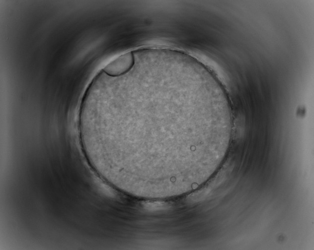 X0000103901231200810311402