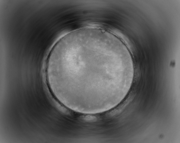 X0000103901235200810311402