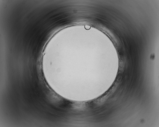 X0000103901236200810311402