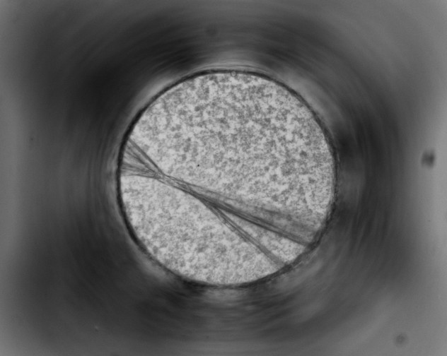 X0000103901237200810311402