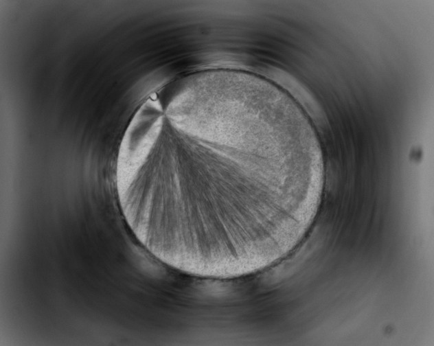 X0000103901241200810311402