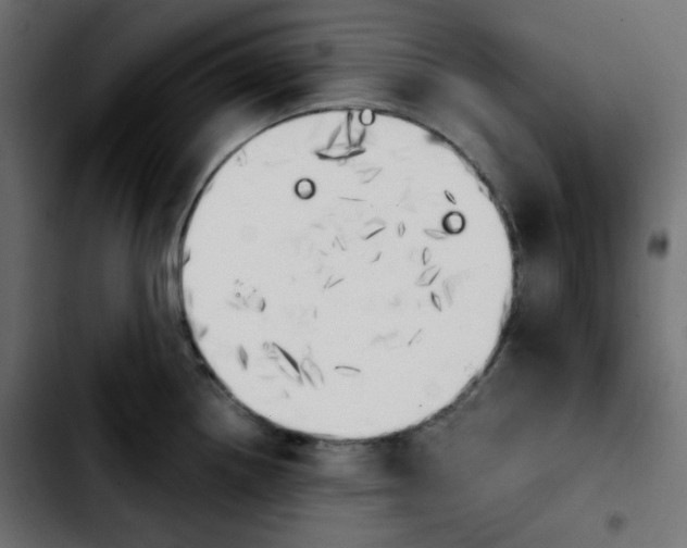 X0000103901242200810311402