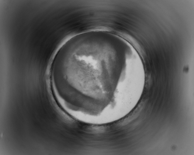 X0000103901243200810311402