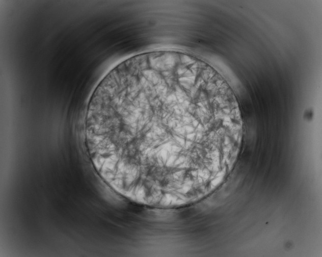 X0000103901244200810311402