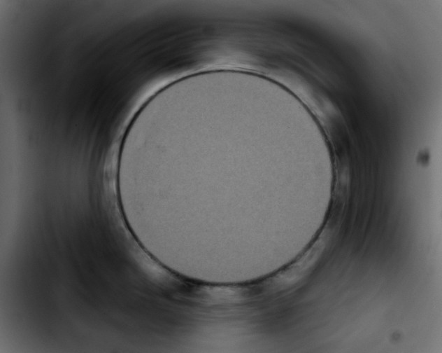 X0000103901246200810311402