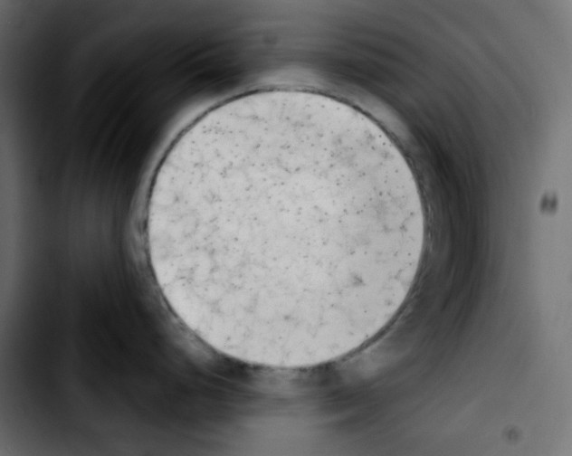 X0000103901248200810311402