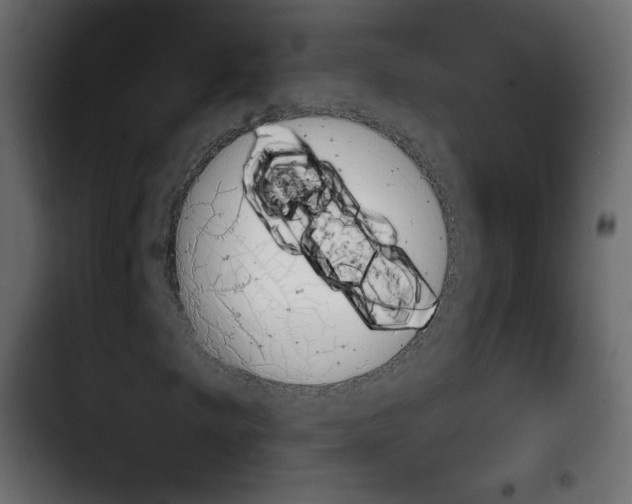 X0000103901249200810311402