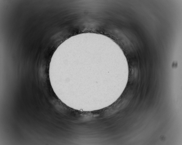 X0000103901250200810311402