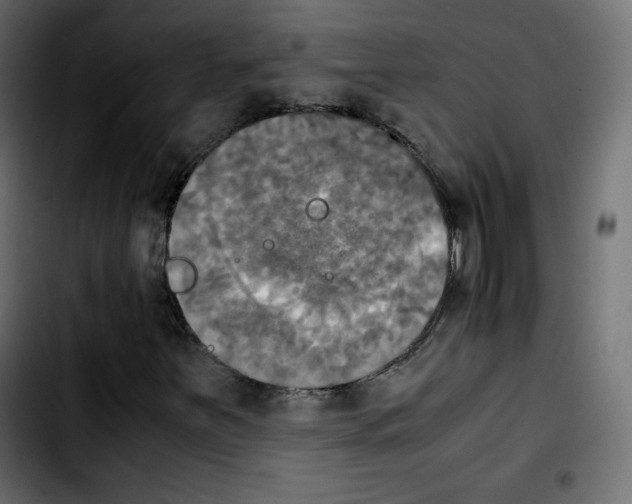 X0000103901251200810311402