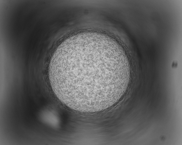 X0000103901253200810311402