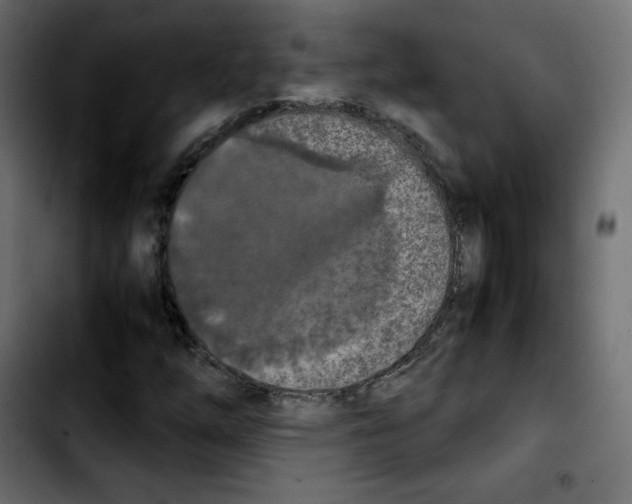 X0000103901254200810311402