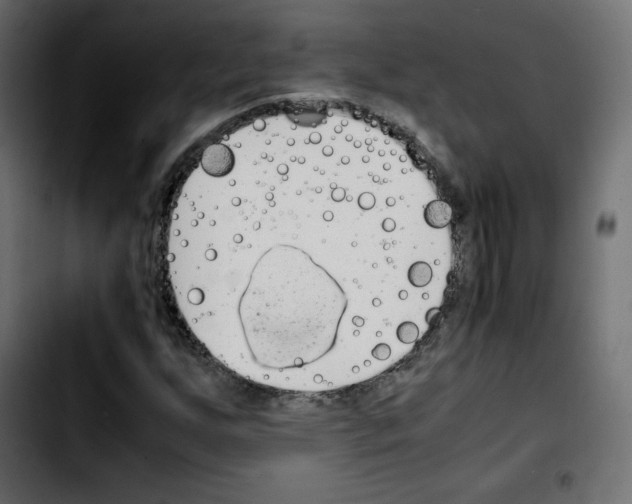 X0000103901255200810311402