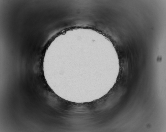 X0000103901256200810311402