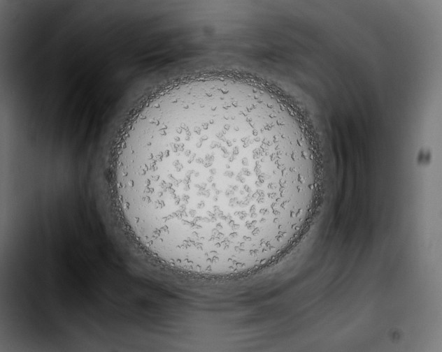 X0000103901257200810311402