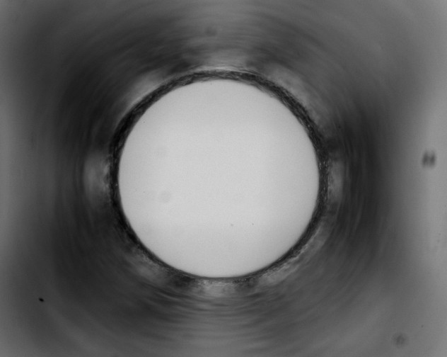 X0000103901258200810311402