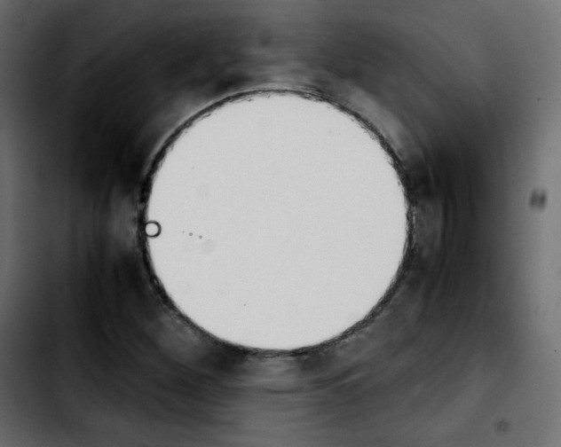 X0000103901260200810311401