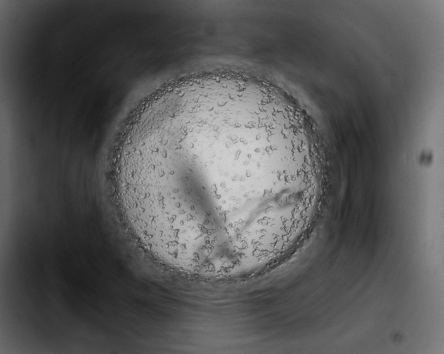 X0000103901261200810311401