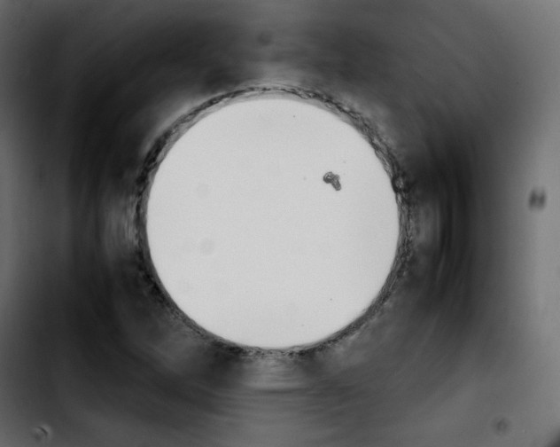 X0000103901262200810311401