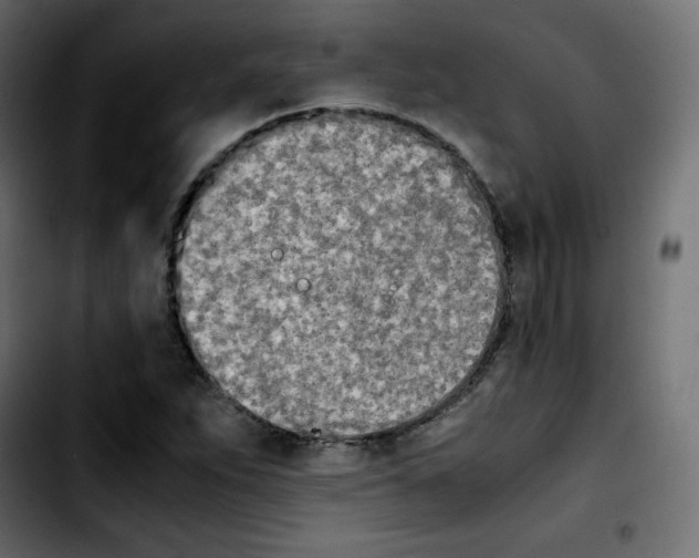 X0000103901263200810311401