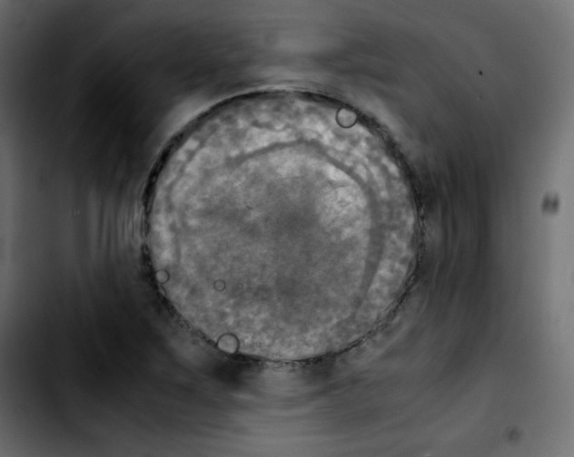 X0000103901267200810311401