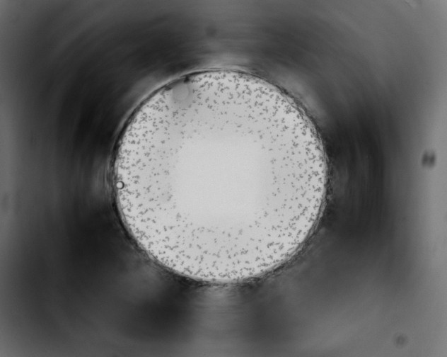 X0000103901268200810311401