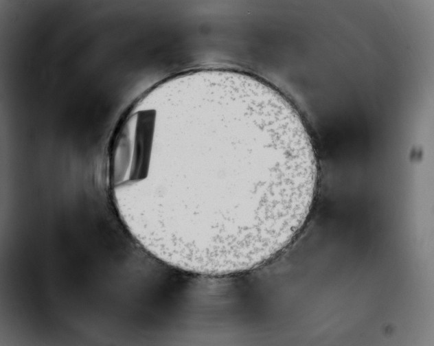 X0000103901269200810311401