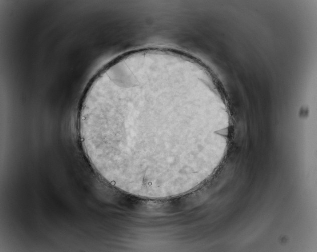 X0000103901271200810311401