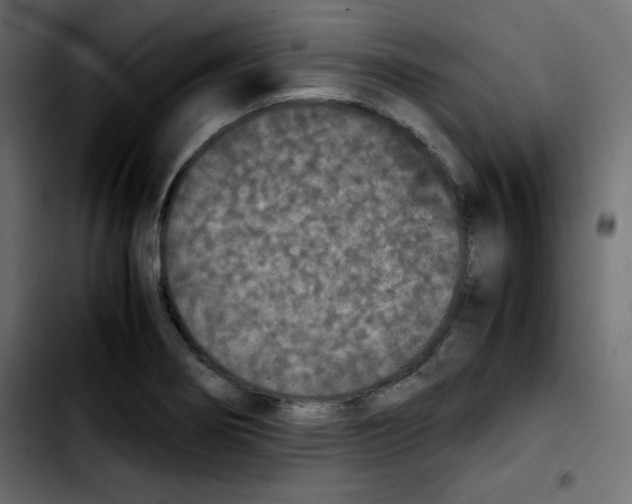 X0000103901274200810311401