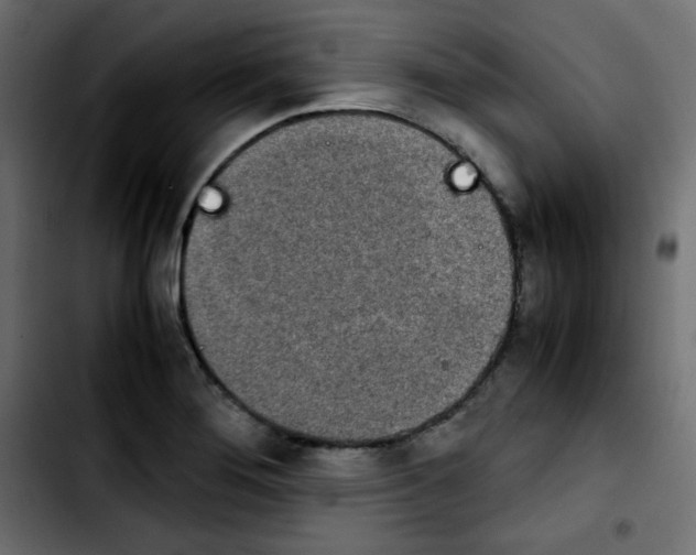 X0000103901276200810311401